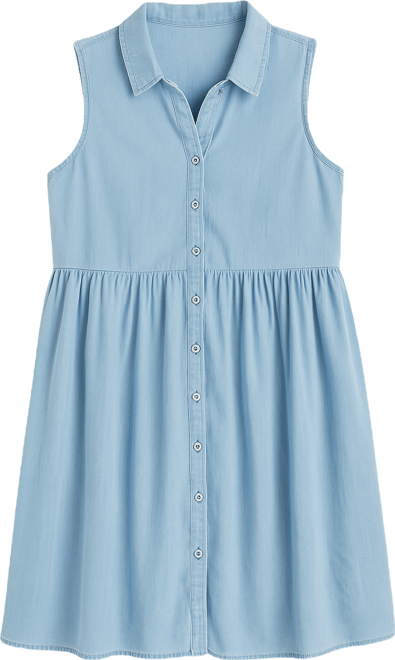 Maternity Ripe Bec Chambray Dress