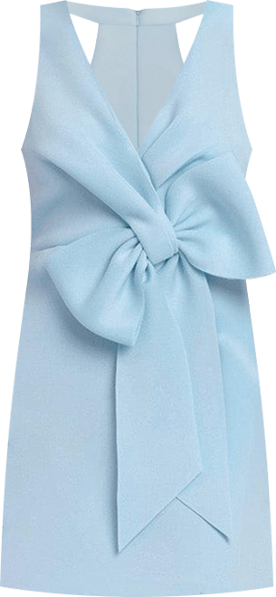 Womens The Amelia Ivory Bow Front Mini Dress