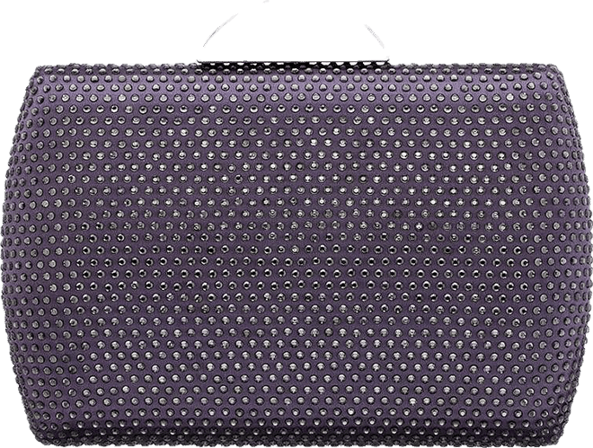 Women's Crystal Minaudiere