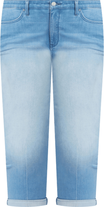 Plus Size Chloe Skinny Capri Jeans