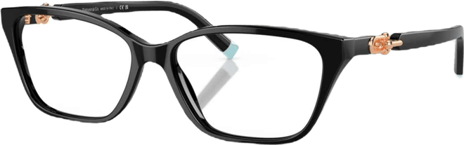 Women's Regular Eyeglasses, TF2229