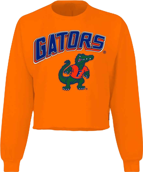 Women's Orange Florida Gators Slouchy Cropped Long Sleeve T-Shirt