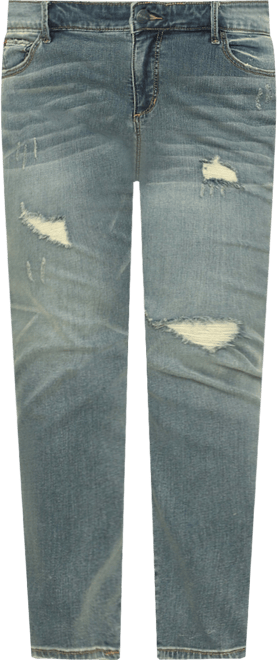 Plus Size Denim High Rise Ankle skinny in 28" inseam