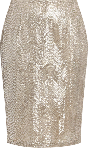 Plus Size Sequined Skirt