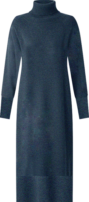 Women's Geelong Turtleneck Knee Length Dress