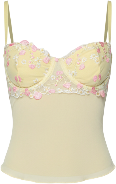 Women's Embroidered Floral Sheer Bra Top