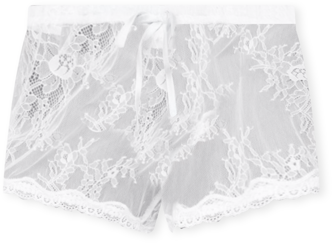 Women's Laina Contrast Sheer Lace Shorts