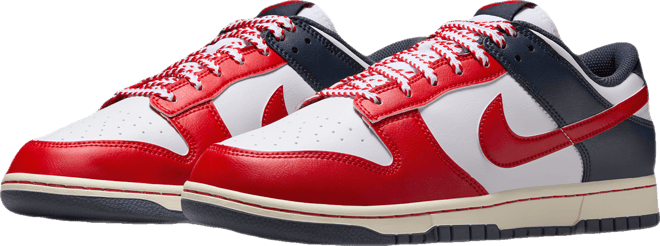 Nike Dunk Low Retro Men's Shoes