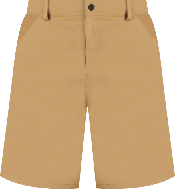 Men's Arch Rock 8" Shorts