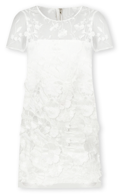 Women's 3D Floral Fit and Flare Mini Dress