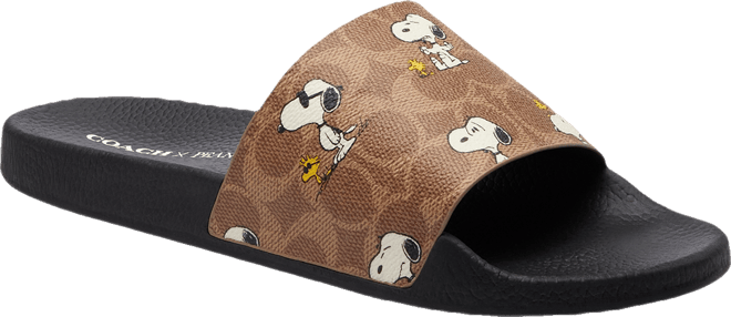 【直営店】coach★X PEANUTS ユーデル スポーツ スライド ladies COACH Women's Udele Peanuts Sport Slide Sandals - Macy's