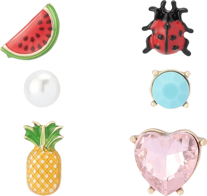 Faux Stone Backyard Watermelon Ladybug Stud Earring Set