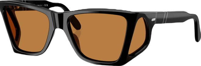 Men's Sunglasses PO0009