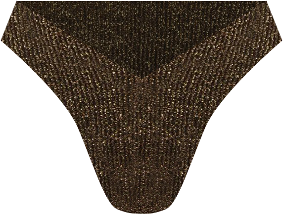 Women's Crinkle Lurex Reversible V Front Classic Bikini Bottom