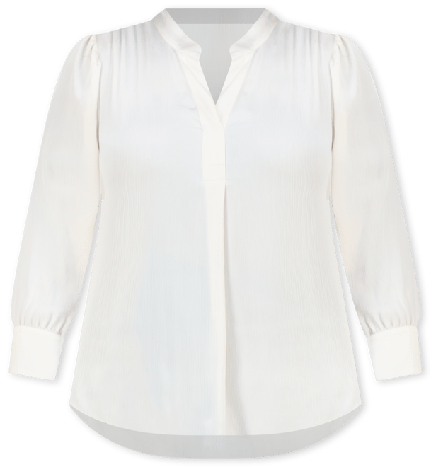 Plus Size Long-Sleeve V-Neck Blouse