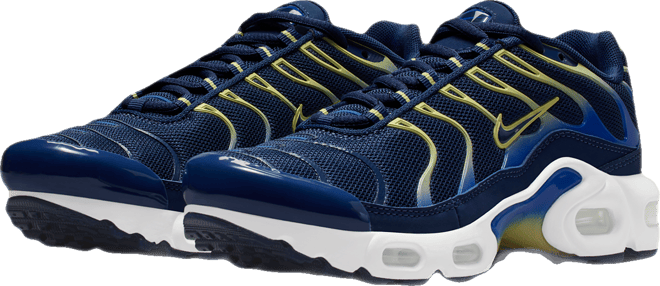 Nike Air Max Plus Sko til store barn