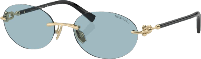 Women's Sunglasses, Tf3104D