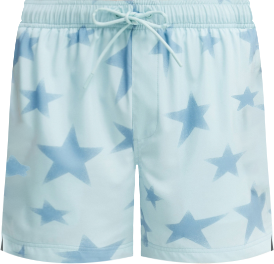 Men's Stretch Swim Shorts