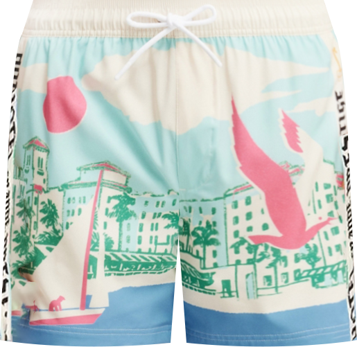 Men's Stretch Swim Shorts