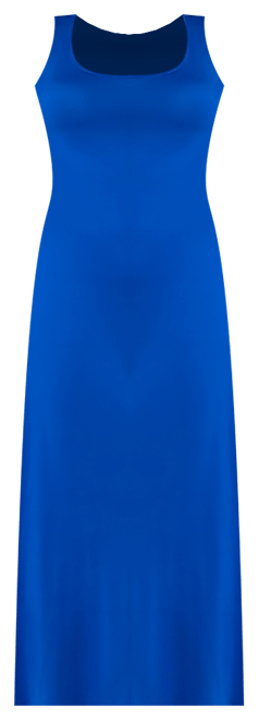 Petite Slim Fit A-Line Sleeveless Maxi Dress