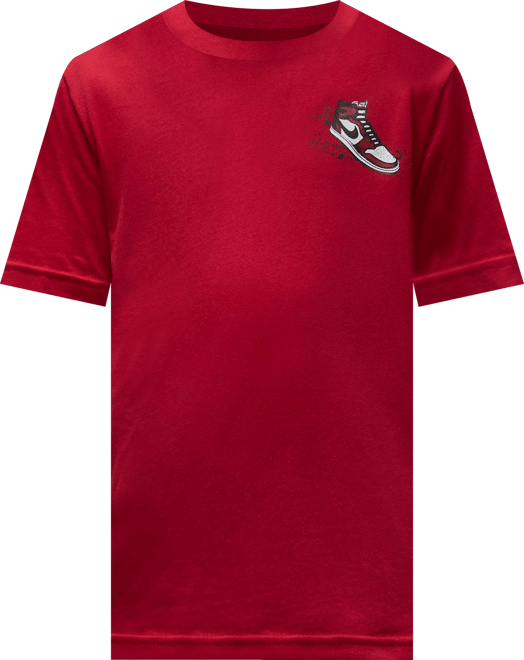 Jordan Big Kids' "Air Jordan Has Landed" T-Shirt