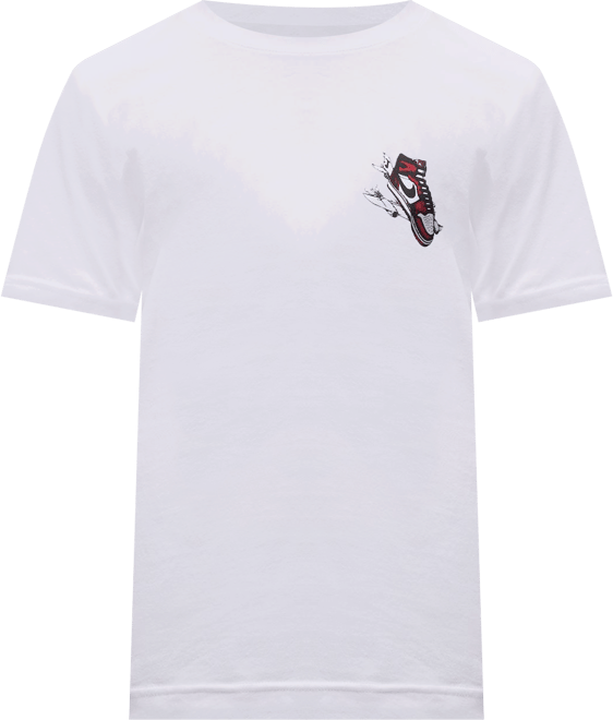 Jordan Big Kids' "Air Jordan Has Landed" T-Shirt