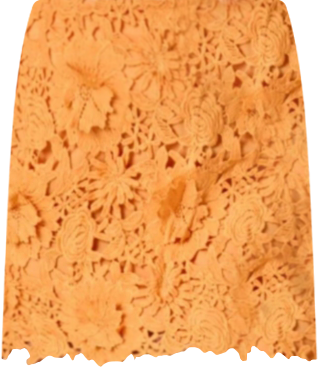 Women's Floral Lace Mini Skirt