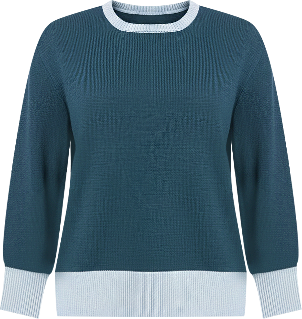 Women's Plus Size Contrast Rib Sweater