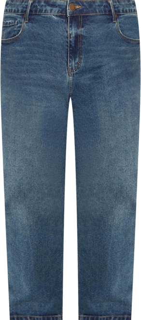 Plus Size Harley Fit Amira Straight Jean