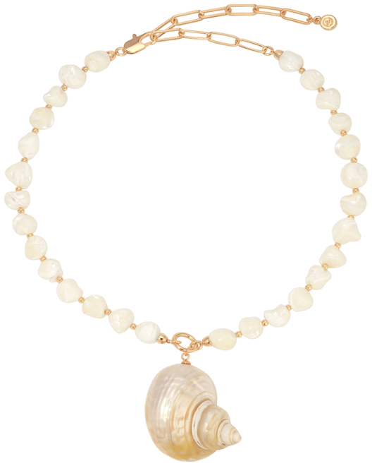 Sunken Treasure Shell Pendant Necklace