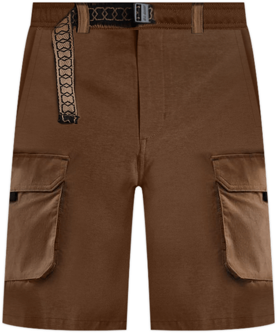 ナイキ SB Dri-FIT カーニー カーゴ スケートボードショートパンツ