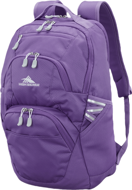 Swoop Sg Backpack