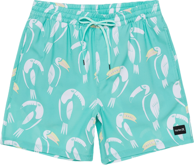 Men's Cannonball Volley Boardshorts