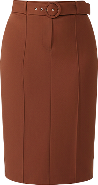Sunburst Belted Pencil Skirt