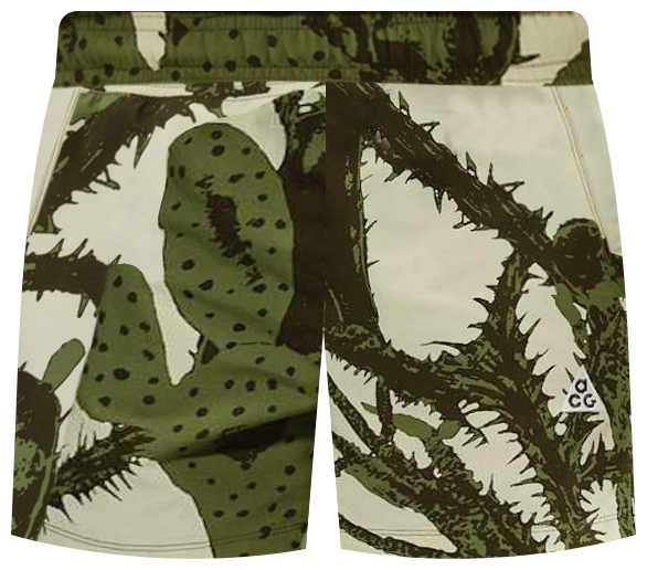 Nike ACG "Reservoir Goat" Shorts (Herren)