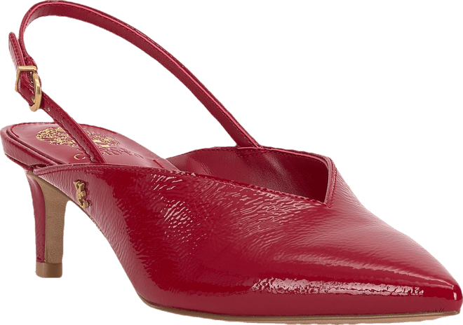 Women's Kylien Pointed Toe Slingback Pumps