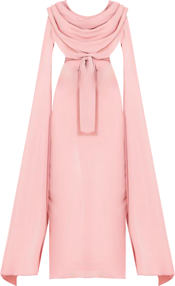 Women's Cowl Neck Flare Sleeved A-line Gown