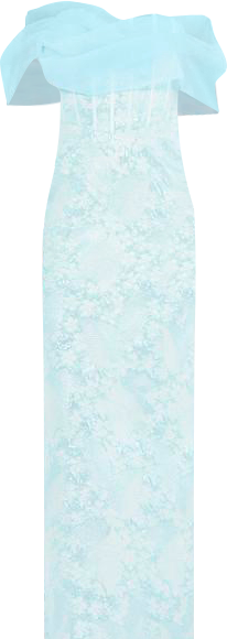 Women's Off-The-Shoulder Corset Detail Brocade Gown