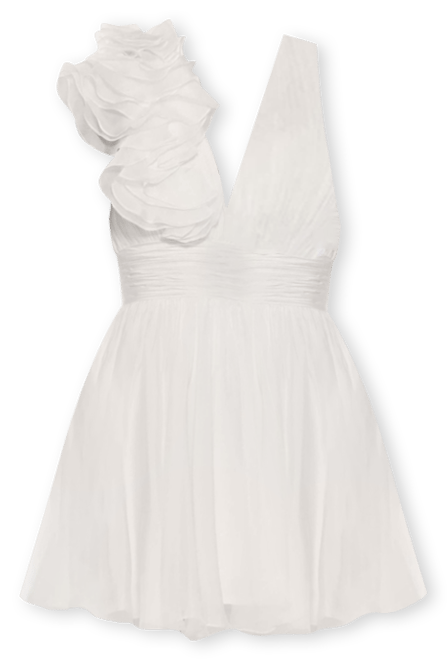 Women's Ruffle V Neck Fit & Flare Mini Dress