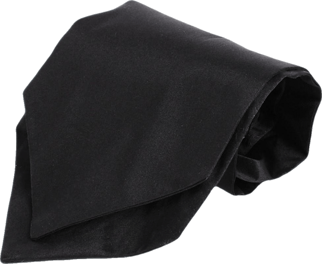 Men's Grant Solid Colored Silk Ascot