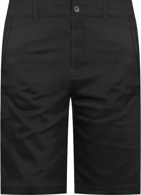 Men's Flex Stretch Chino Shorts