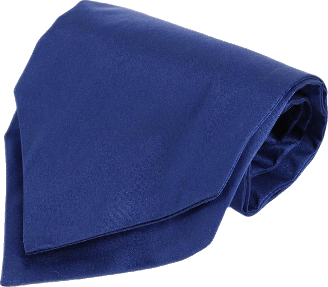 Men's Grant Solid Colored Silk Ascot