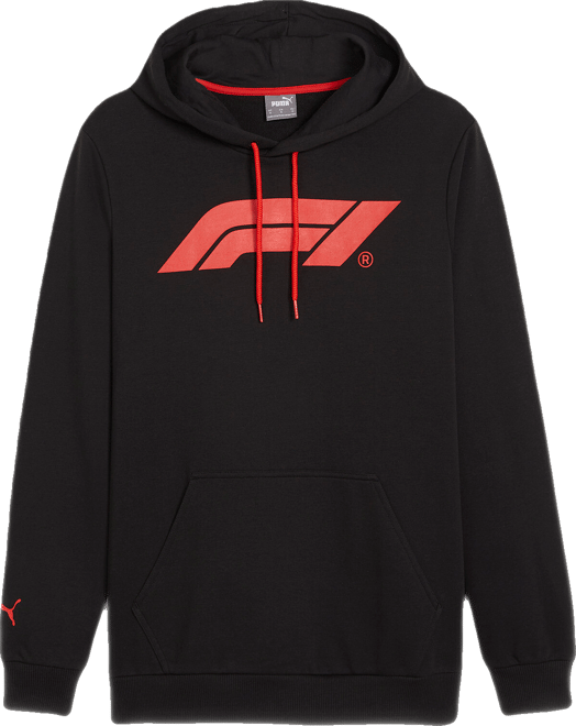 PUMA Formula 1® Motorsport Essentials Men's Hoodie