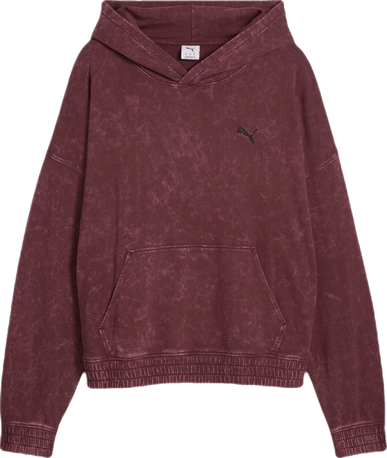 FUTURE.PUMA.ARCHIVE Hoodie
