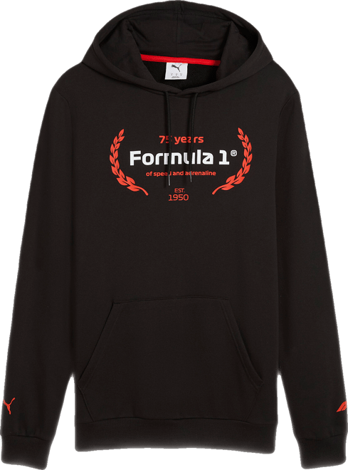 PUMA Formula 1® Motorsport Essentials Men's Hoodie