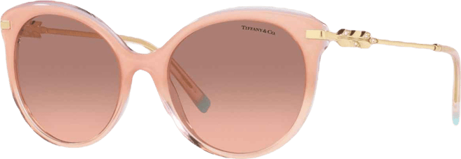Women's Sunglasses, TF4189B 55