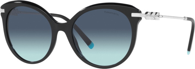 Women's Sunglasses, TF4189B 55