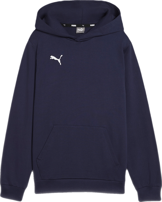 PUMA teamGOAL Football Casuals Hoody Youth