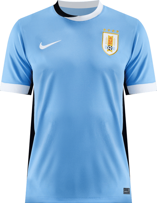 Uruguay 2024/25 Stadium Home (Men's Team) Men's Nike Dri-FIT Football Replica Shirt