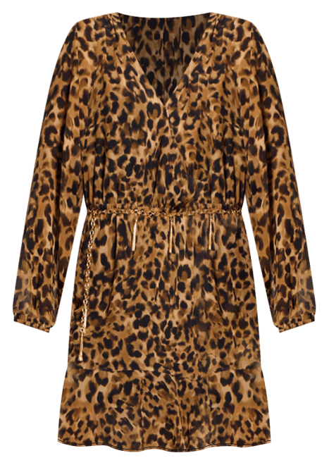 Women's Kaleen Printed Chiffon A-Line Dress